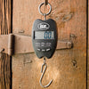 LEM Products 660 lb. Hanging Scale