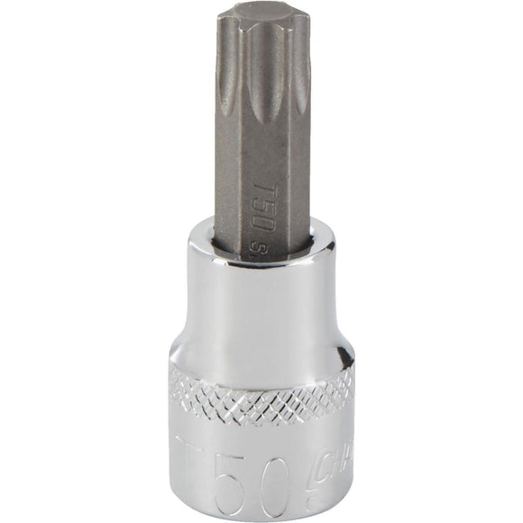 Channellock 3/8 In. Drive T50 6-Point Torx Bit Socket