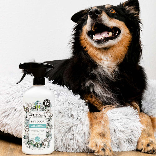 Pet-Pourri Pawsitively Fresh Pet Odor Eliminator