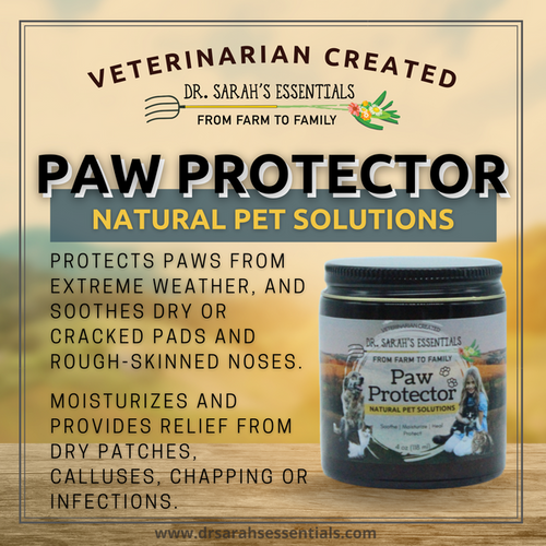 Dr. Sarah's Essentials Paw Protector (4 oz)