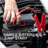 Alliance Consumer Group Assist Jump Starter