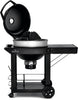 Napoleon PRO Charcoal Kettle Grill with Cart Black
