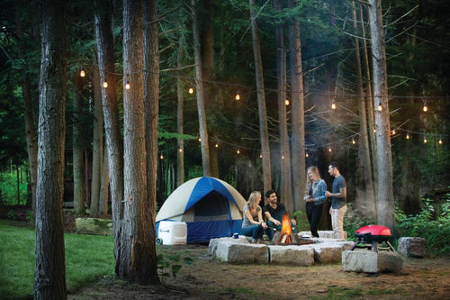 Napoleon TravelQ™ 285 Portable Propane Gas Grill with Griddle