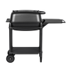 PK Grills PK300 Grill & Smoker Graphite
