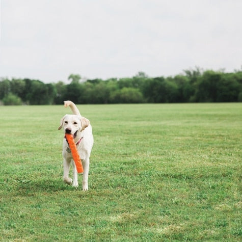 Chuckit! Breathe Right Fetch Stick (Small)